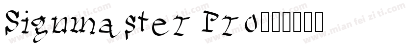 Signmaster Pro字体转换